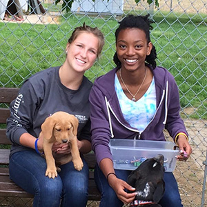 Photo of two young people sitting on a bench petting dogs