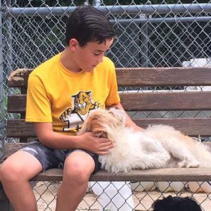 Boy volunteer sitting on a bench petting a dog.