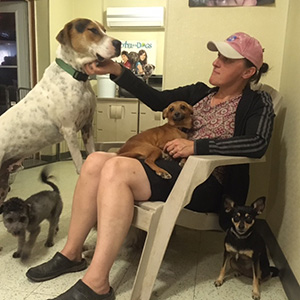 Photo of volunteer sitting in chair red dog in lap, and 3 other dogs near by on the floor.